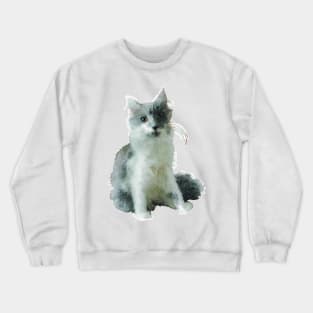 Fluffy Gray and White Cat Crewneck Sweatshirt